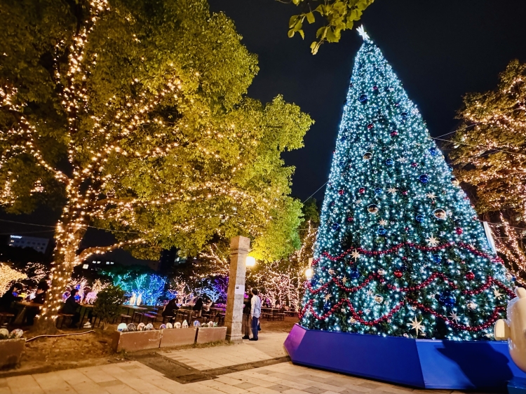 天神中央公園の 光のフォレスト