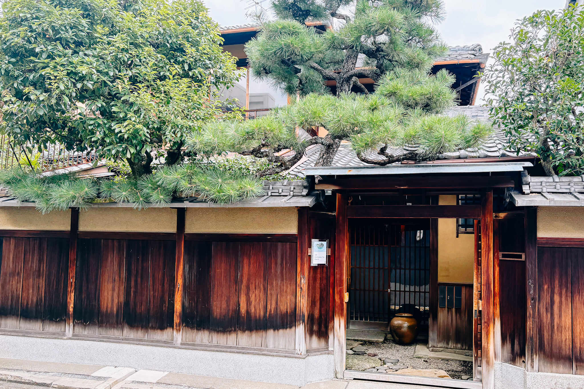 일본 차의 깊은 매력을 만날 수있는 다실 "겨울 여름"에서 한 때